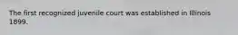 The first recognized juvenile court was established in Illinois 1899.