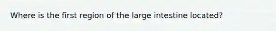 Where is the first region of the large intestine located?
