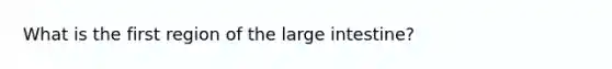 What is the first region of the large intestine?