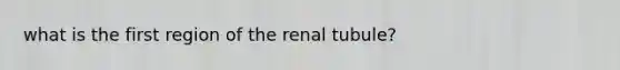 what is the first region of the renal tubule?