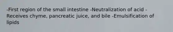 -First region of the small intestine​ -Neutralization of acid​ -Receives chyme, pancreatic juice, and bile​ -Emulsification of lipids​