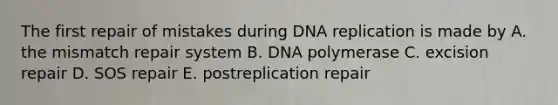 The first repair of mistakes during DNA replication is made by A. the mismatch repair system B. DNA polymerase C. excision repair D. SOS repair E. postreplication repair