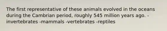 The first representative of these animals evolved in the oceans during the Cambrian period, roughly 545 million years ago. -invertebrates -mammals -vertebrates -reptiles