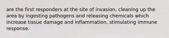 are the first responders at the site of invasion, cleaning up the area by ingesting pathogens and releasing chemicals which increase tissue damage and inflammation, stimulating immune response.