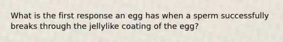 What is the first response an egg has when a sperm successfully breaks through the jellylike coating of the egg?