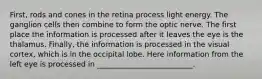 First, rods and cones in the retina process light energy. The ganglion cells then combine to form the optic nerve. The first place the information is processed after it leaves the eye is the thalamus. Finally, the information is processed in the visual cortex, which is in the occipital lobe. Here information from the left eye is processed in __________________________.