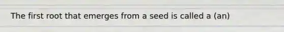 The first root that emerges from a seed is called a (an)