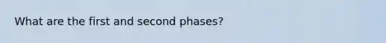 What are the first and second phases?