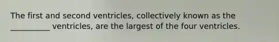 The first and second ventricles, collectively known as the __________ ventricles, are the largest of the four ventricles.