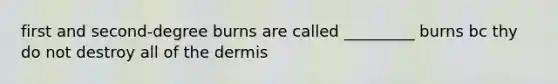 first and second-degree burns are called _________ burns bc thy do not destroy all of the dermis