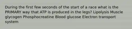 During the first few seconds of the start of a race what is the PRIMARY way that ATP is produced in the legs? Lipolysis Muscle glycogen Phosphocreatine Blood glucose Electron transport system