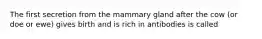 The first secretion from the mammary gland after the cow (or doe or ewe) gives birth and is rich in antibodies is called