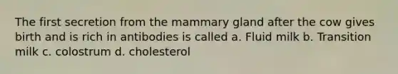 The first secretion from the mammary gland after the cow gives birth and is rich in antibodies is called a. Fluid milk b. Transition milk c. colostrum d. cholesterol