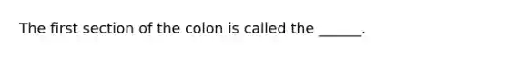 The first section of the colon is called the ______.