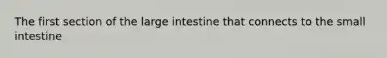 The first section of the large intestine that connects to the small intestine