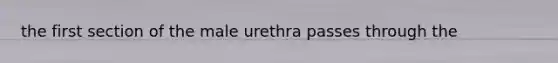 the first section of the male urethra passes through the