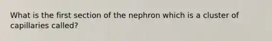 What is the first section of the nephron which is a cluster of capillaries called?