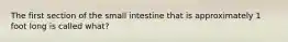 The first section of the small intestine that is approximately 1 foot long is called what?