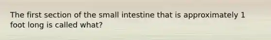 The first section of the small intestine that is approximately 1 foot long is called what?