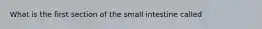 What is the first section of the small intestine called