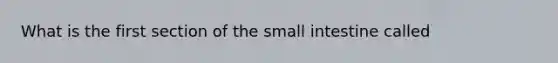 What is the first section of <a href='https://www.questionai.com/knowledge/kt623fh5xn-the-small-intestine' class='anchor-knowledge'>the small intestine</a> called