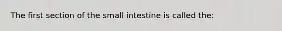 The first section of the small intestine is called the: