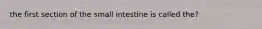 the first section of the small intestine is called the?