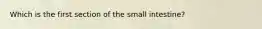 Which is the first section of the small intestine?