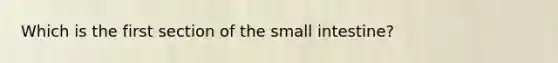 Which is the first section of <a href='https://www.questionai.com/knowledge/kt623fh5xn-the-small-intestine' class='anchor-knowledge'>the small intestine</a>?