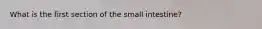 What is the first section of the small intestine?