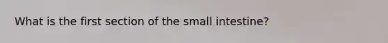 What is the first section of the small intestine?