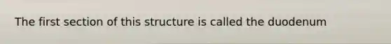 The first section of this structure is called the duodenum