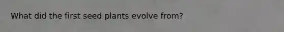 What did the first seed plants evolve from?