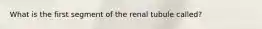 What is the first segment of the renal tubule called?