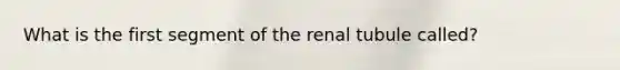 What is the first segment of the renal tubule called?