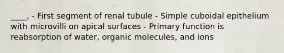 ____, - First segment of renal tubule - Simple cuboidal epithelium with microvilli on apical surfaces - Primary function is reabsorption of water, organic molecules, and ions