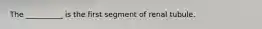The __________ is the first segment of renal tubule.