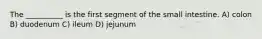 The __________ is the first segment of the small intestine. A) colon B) duodenum C) ileum D) jejunum