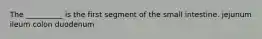 The __________ is the first segment of the small intestine. jejunum ileum colon duodenum