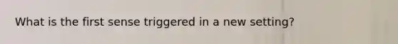 What is the first sense triggered in a new setting?