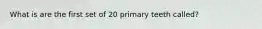 What is are the first set of 20 primary teeth called?