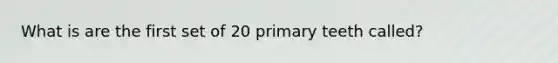 What is are the first set of 20 primary teeth called?