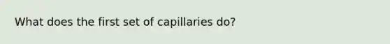 What does the first set of capillaries do?