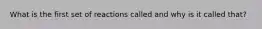 What is the first set of reactions called and why is it called that?