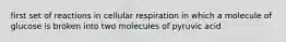 first set of reactions in cellular respiration in which a molecule of glucose is broken into two molecules of pyruvic acid