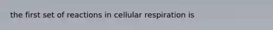 the first set of reactions in cellular respiration is