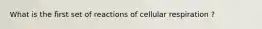 What is the first set of reactions of cellular respiration ?