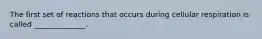 The first set of reactions that occurs during cellular respiration is called ______________.