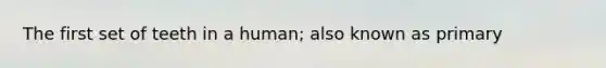 The first set of teeth in a human; also known as primary