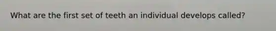 What are the first set of teeth an individual develops called?